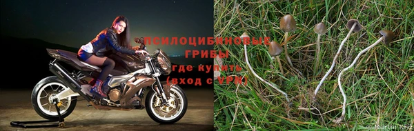 MDMA Premium VHQ Беломорск