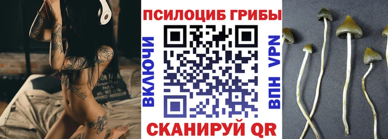 Купить  Мамоново  Псилоцибиновые грибы Psilocybine cubensis 